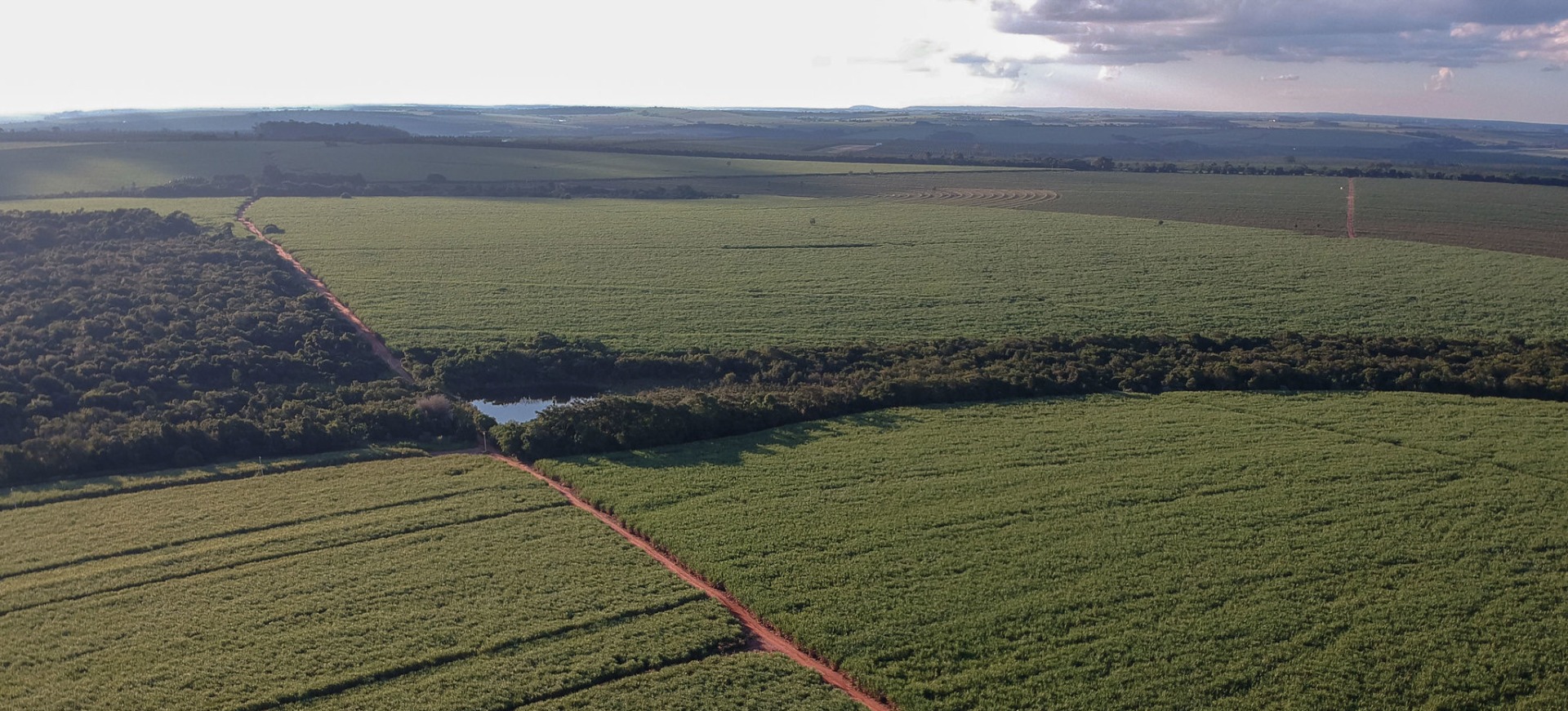 Glifosato continua em 1º lugar; cresceu a venda de bioinsumos; mais de 50% dos produtos registrados não foram comercializados