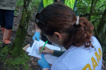 2025-12-18 Servidora do Ibama durante monitoramento de agrotóxicos.jpg