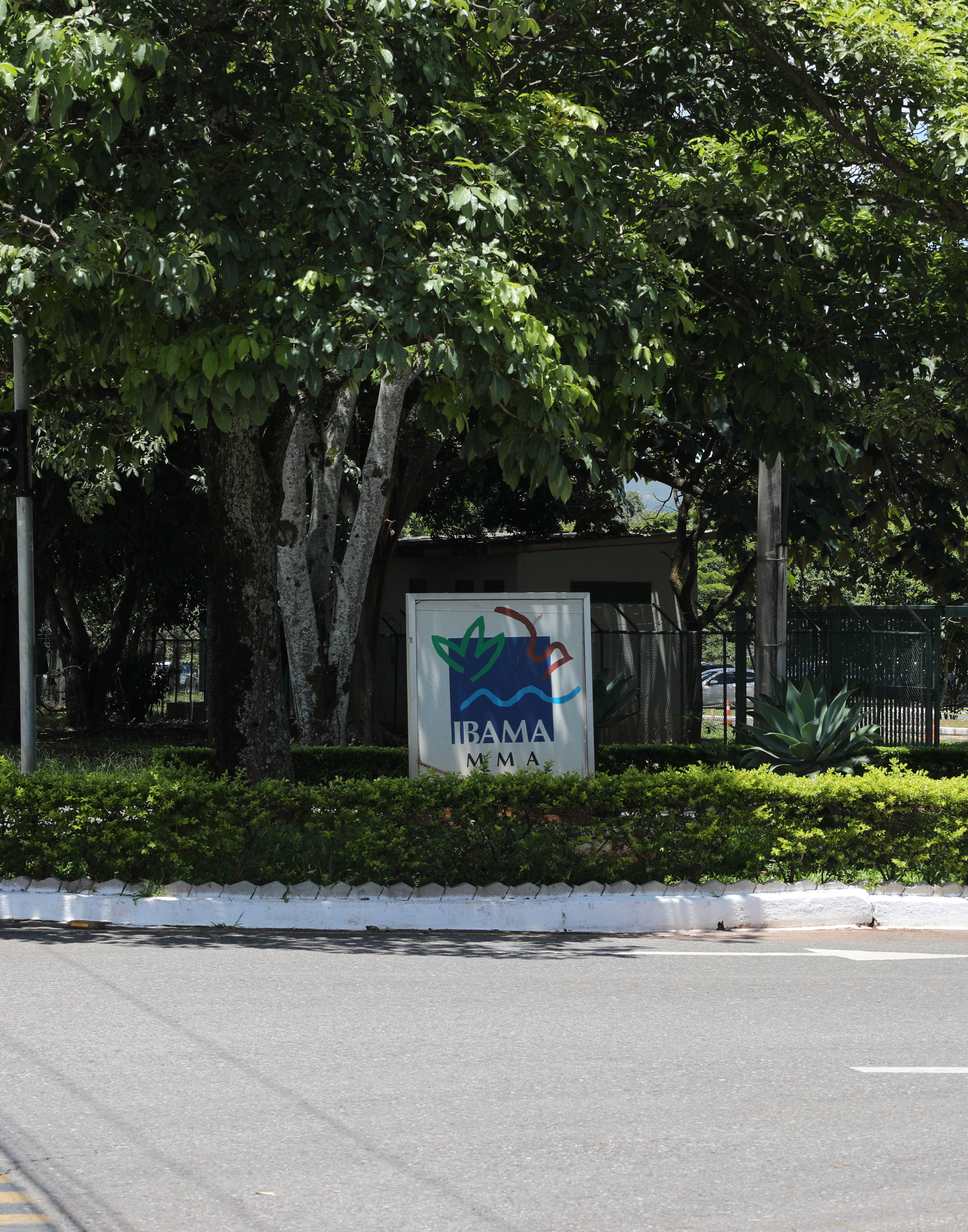 Ibama sede