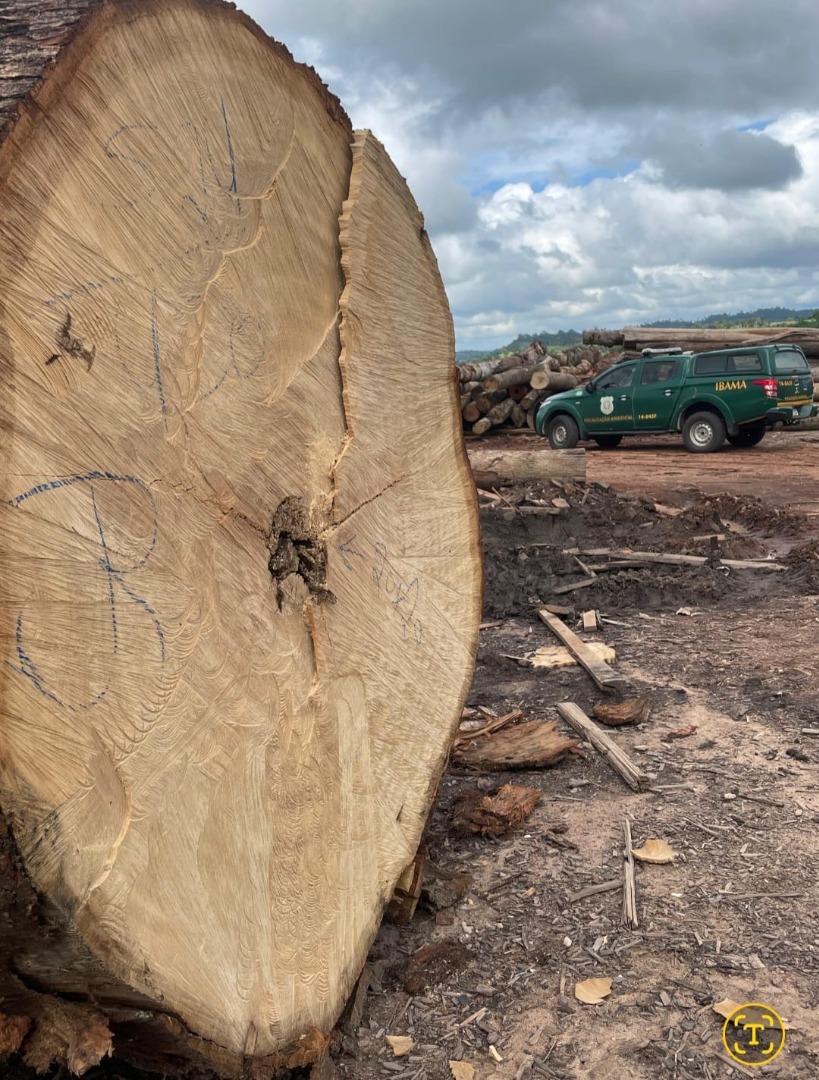 Fiscalização do Ibama na Amazônia-1.jpg