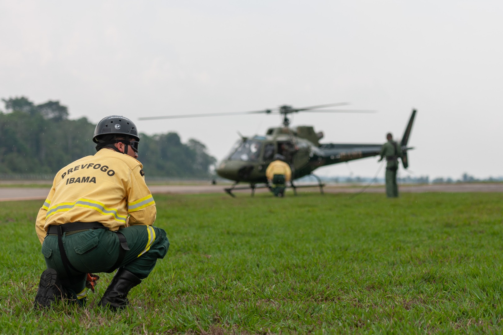 2025-05-12 Ibama amplia contratação para 2025.jpg