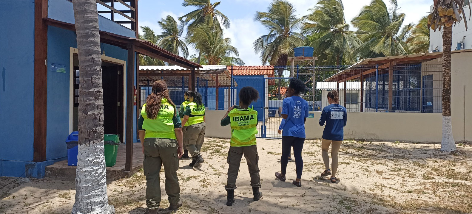 2025-10-20 Vistoria na estrutura de resposta à fauna oleada na base de Atins, em Barreirinhas (MA).jpeg
