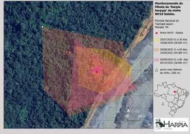 2025-12-19 Polígono de deslocamento na área de nidificação na Floresta Nacional do Tapirapé-Aquiri.jpg