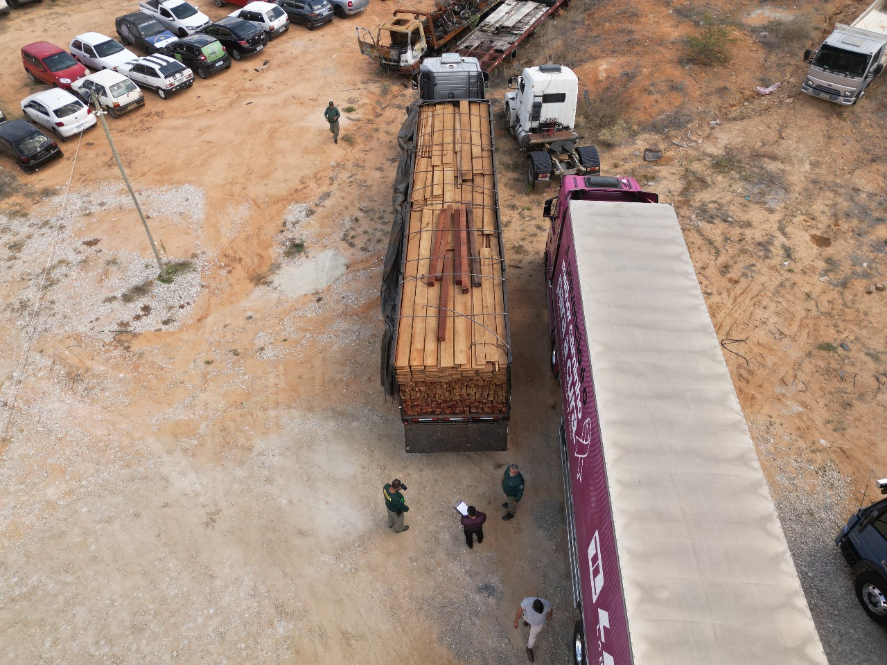 2025-09-22 Um total de 1.072,88 m³ de madeira serrada foi apreendido durante operação em Pernambuco.jpeg