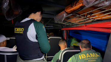 Ibama e ICMBio em ação ao combate ilegal de pesca no rio Xingu