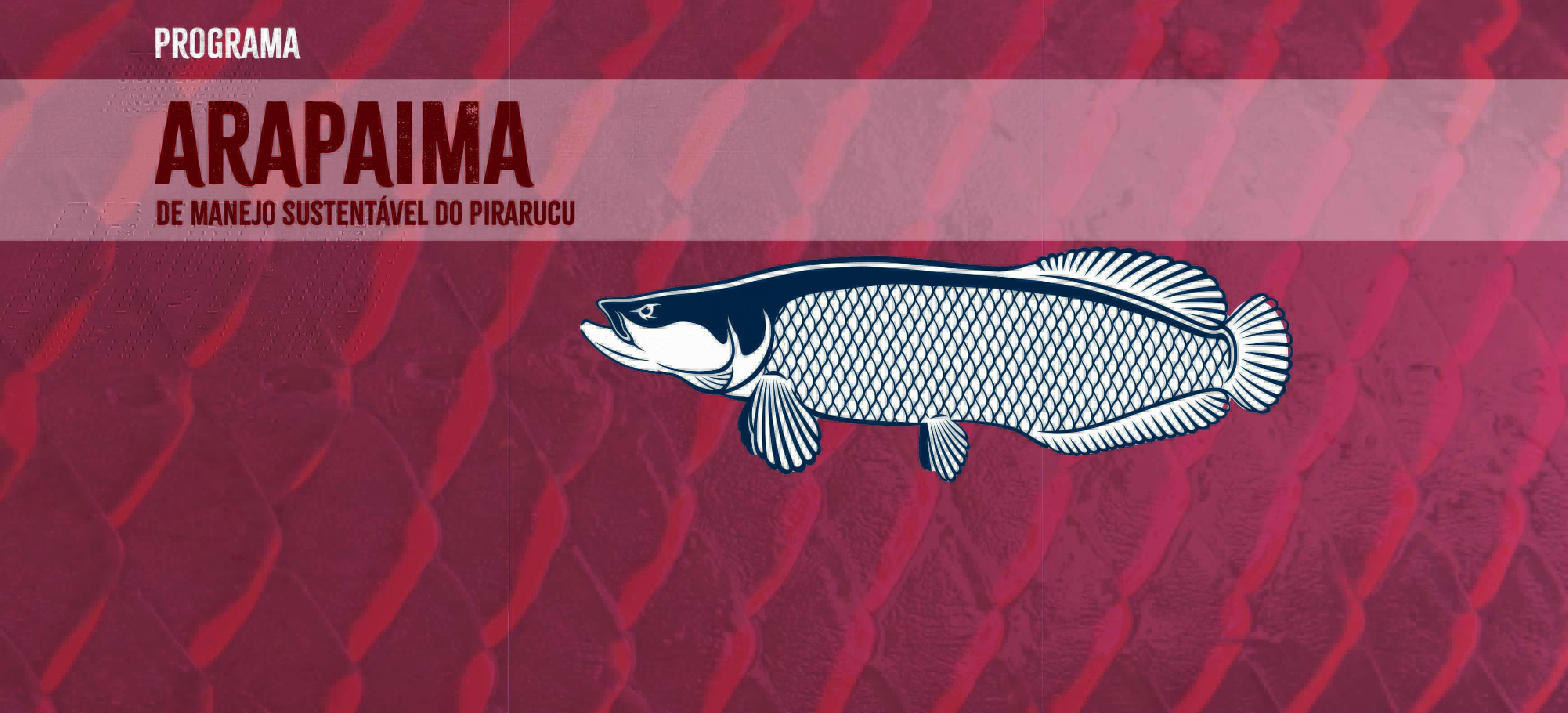 2025-05-28 Manejo sustentável do pirarucu.jpg