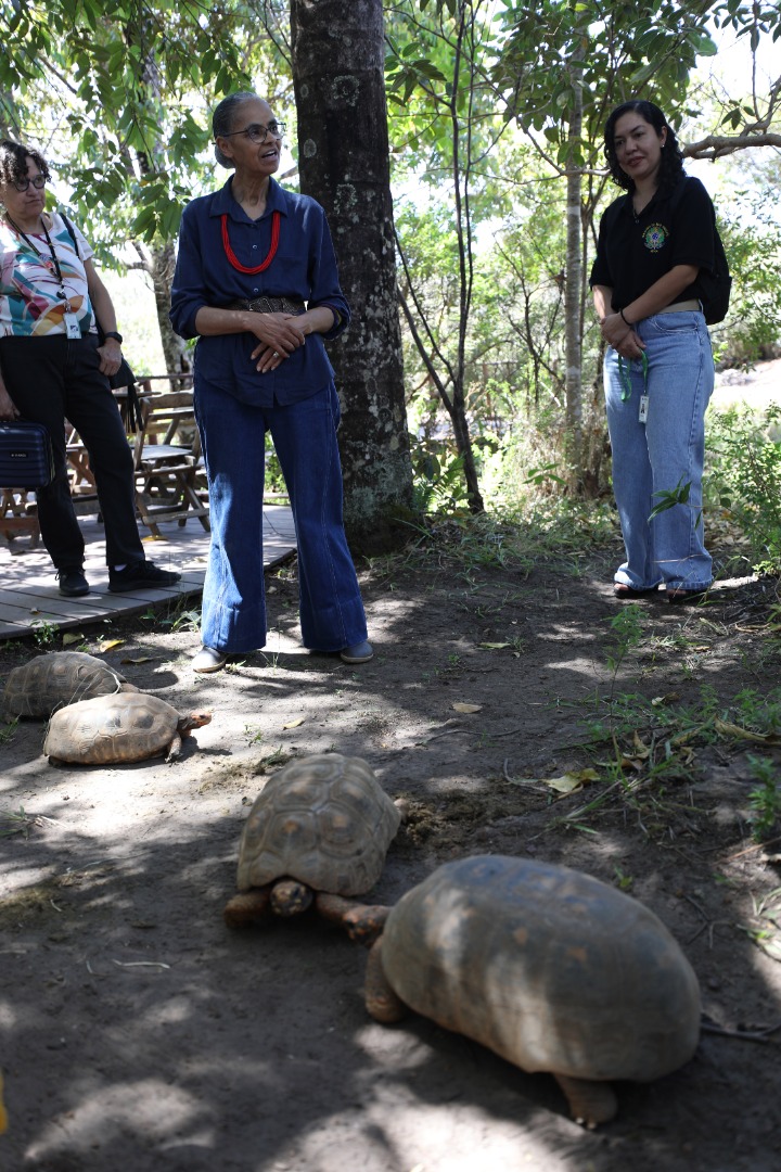 2025-08-29 Animais silvestres voltam ao Cerrado em ação de reintrodução conduzida pelo Ibama, com apoio do MMA e parceiros.JPG
