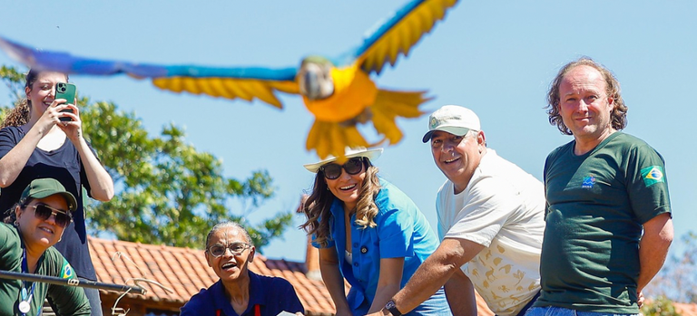 2025-08-29 Reintrodução foi conduzida pelo Centro de Triagem de Animais Silvestres (Cetas), do Ibama, órgão vinculado ao MMA.png