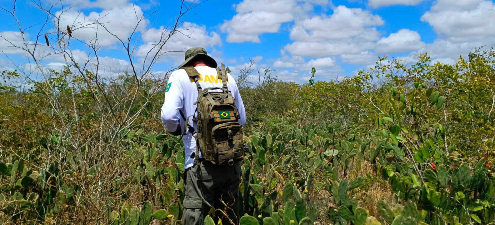 2025-04-28 Vistoria em área monitorada com médio potencial de regeneração Monte Alegre-SE.jpeg