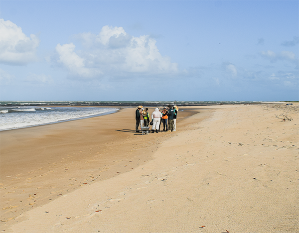 Equipe do Ibama realiza oficina sobre limpeza de praias contaminadas por óleo