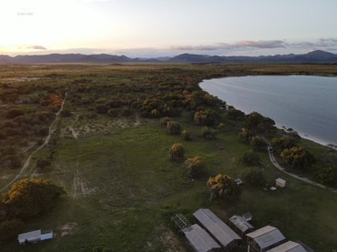 2025-06-10 Recuperação ambiental da Terra Indígena Yanomami foi tema de oficina.jpg