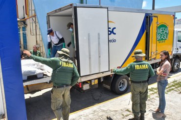 Doação de pescada amarela apreendida para o programa Mesa Brasil