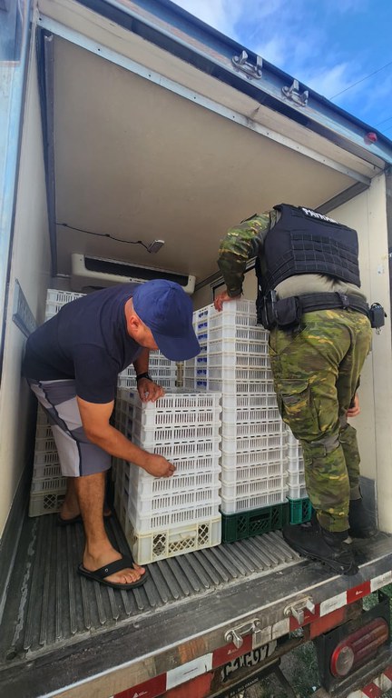 Pescado irregular é apreendido pelo Ibama no RS.