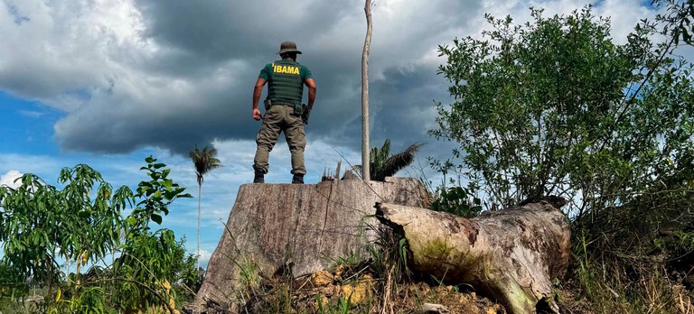 Fiscal do Ibama observa área desmatada em terra indígena no Pará durante a Operação Xapiri I.jpg