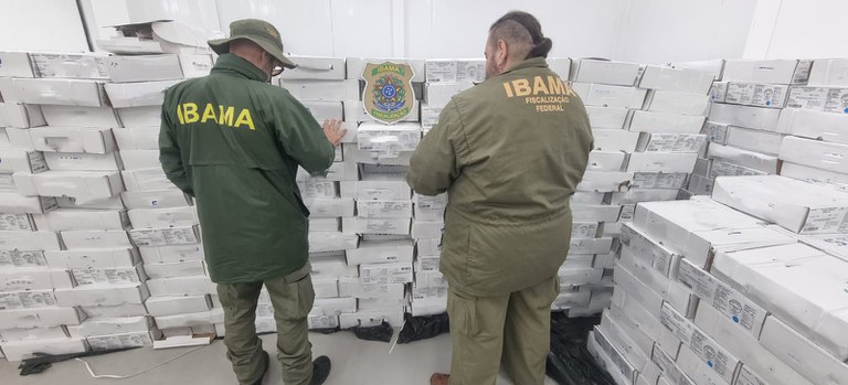 Pescado apreendido na operação conjunta (foto editada).