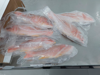 Operação conjunta apreende cerca de 12 toneladas de pescado exportado ilegalmente