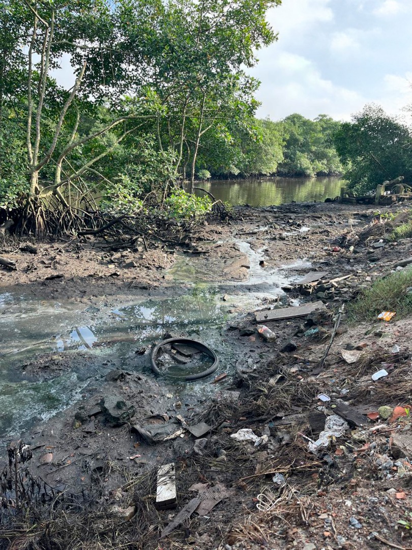 2025-05-20 Área degradada na margem de manguezal em Paranaguá (PR).jpg