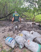 Operação contra a pesca ilegal apreende espécies protegidas no ES