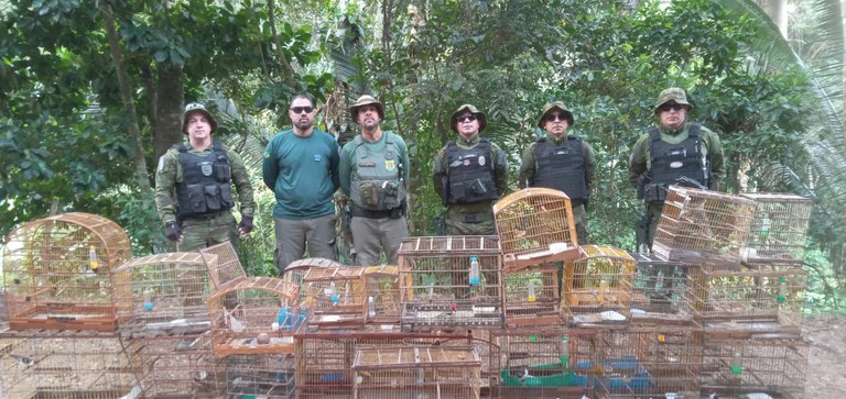 2025-09-17 Operação Vidas Livres II aplicou quase R$ 3 milhões em multas por crimes ambientais.jpeg