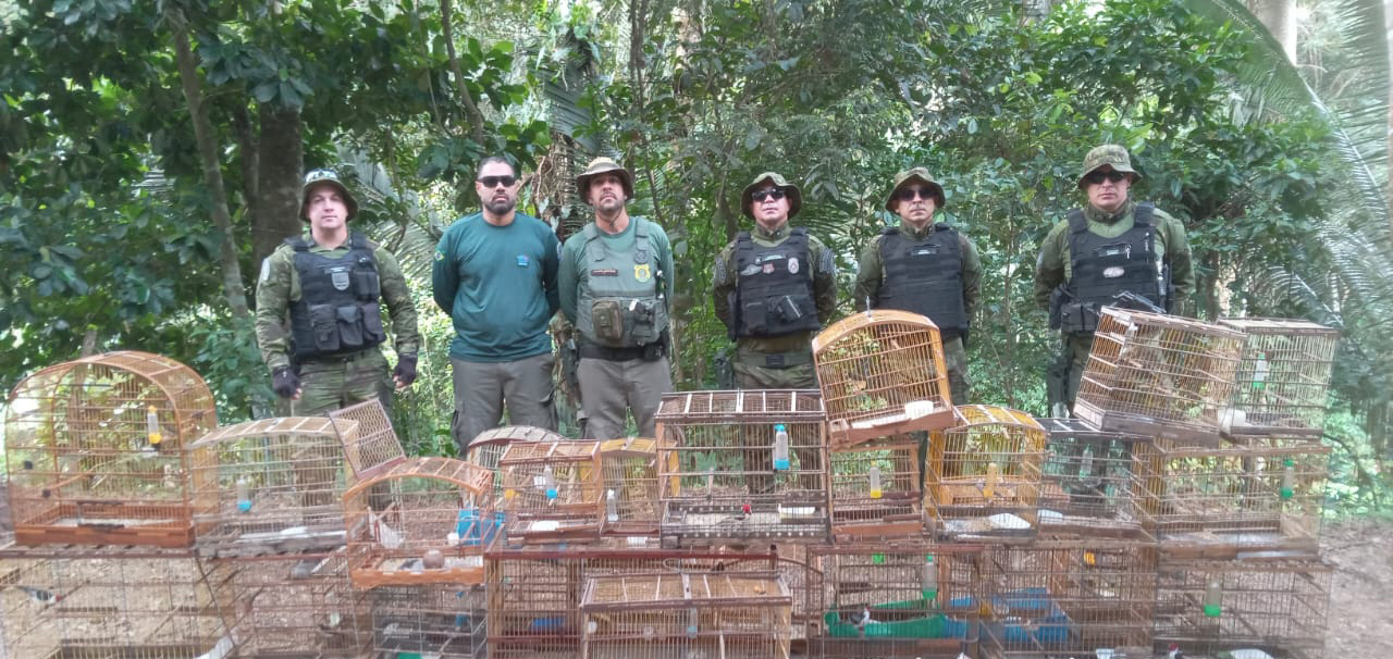 2025-09-17 Operação Vidas Livres II aplicou quase R$ 3 milhões em multas por crimes ambientais.jpeg