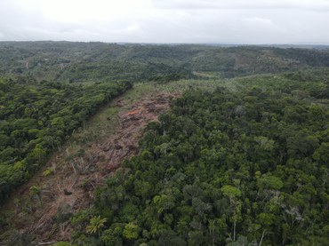 Áreas desmatadas foram embargadas pelos agentes ambientais.jpg