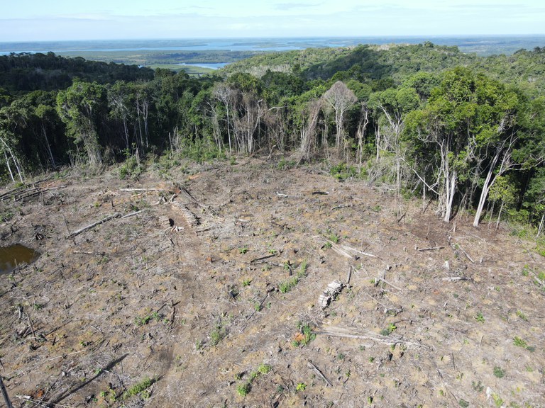 Operação Mata Viva combateu desmatamento ilegal na Mata Atlântica.jpg