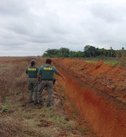 Operação do Ibama no Tocantins combate desmatamento ilegal no Cerrado