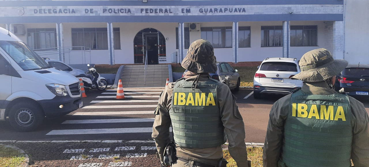 2025-08-21 Fiscalização do Ibama já embargou 132 hectares da TI Mangueirinha.jpg