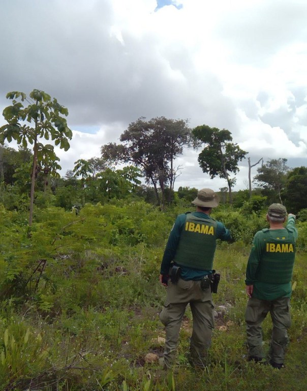 2025-06-25 Áreas no litoral paraibano são embargadas por desmatamento ilegal.png