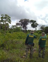 Operação embarga áreas com desmatamento ilegal na Paraíba