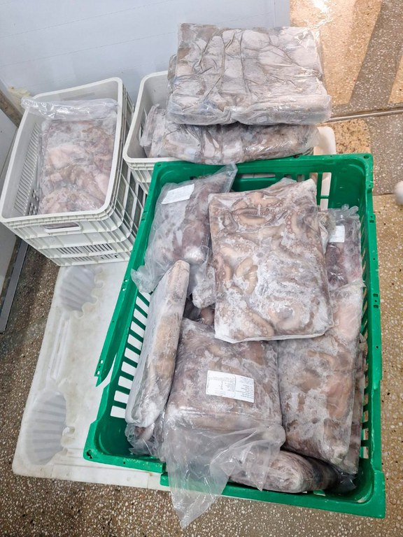 2025-10-31 Polvo e lagosta foram apreendidos por falta de comprovação de origem.jpg