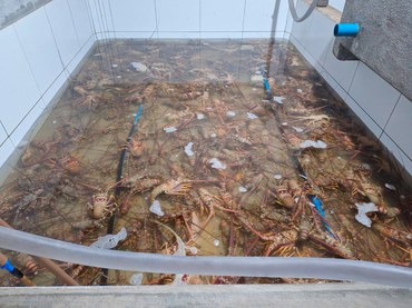 2025-10-31 Produtos apreendidos pela fiscalização do Ibama durante a Operação Kraken.jpg