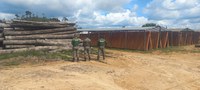 Operação Maravalha 2025 reforça o combate ao desmatamento na Amazônia