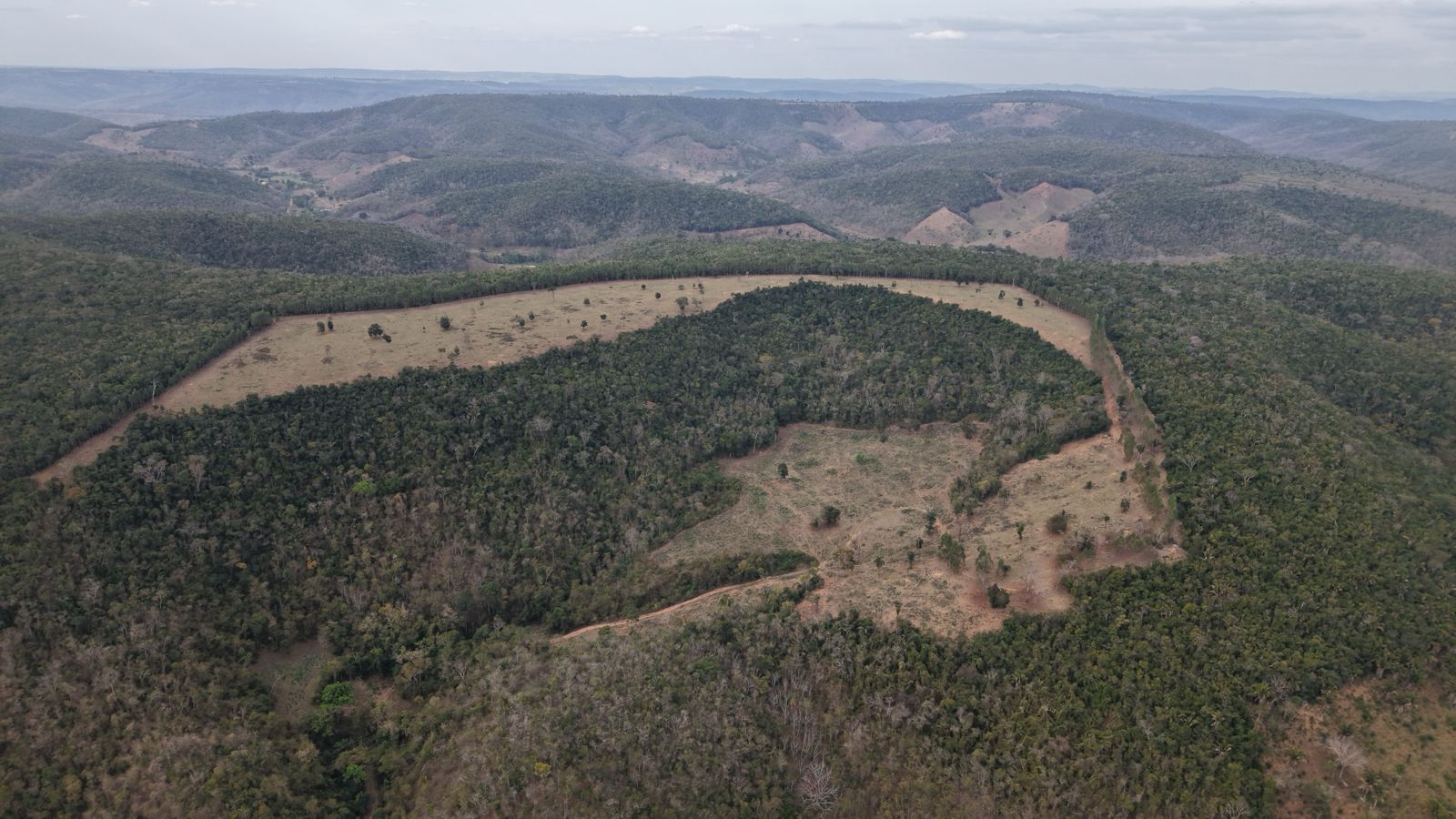 2025-09-29 Área desmatada de Mata Atlântica em Minas Gerais.jpg