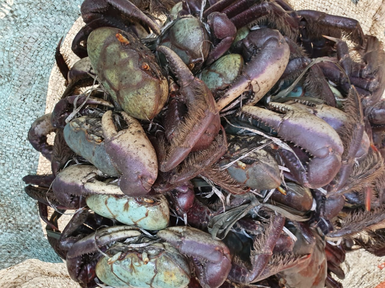Operação Mercatio na feira de Duque de Caxias, RJ