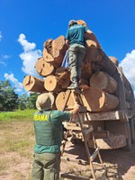 Operação Metaverso combate fraudes na exploração da madeira e desmatamento ilegal no PA