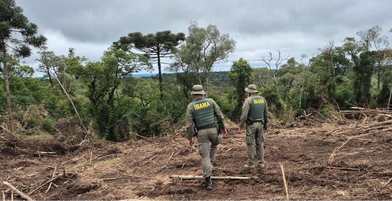 2025-11-11 Agentes do Ibama durante Operação Terra Proibida, no Centro-Sul do Paraná.jpg