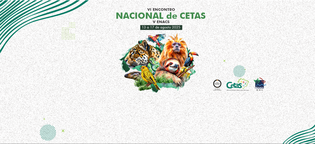 VI Encontro Nacional de Cetas e V Enacs.png