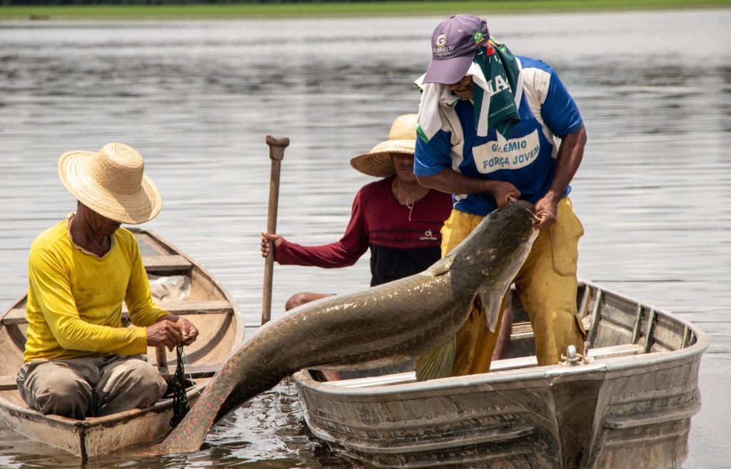 2025-08-29 Pescadores em região onde a pesca do pirarucu é autorizada.jpg