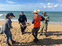 Projeto Praia Sem Óleo capacita multiplicadores para emergências ambientais no litoral
