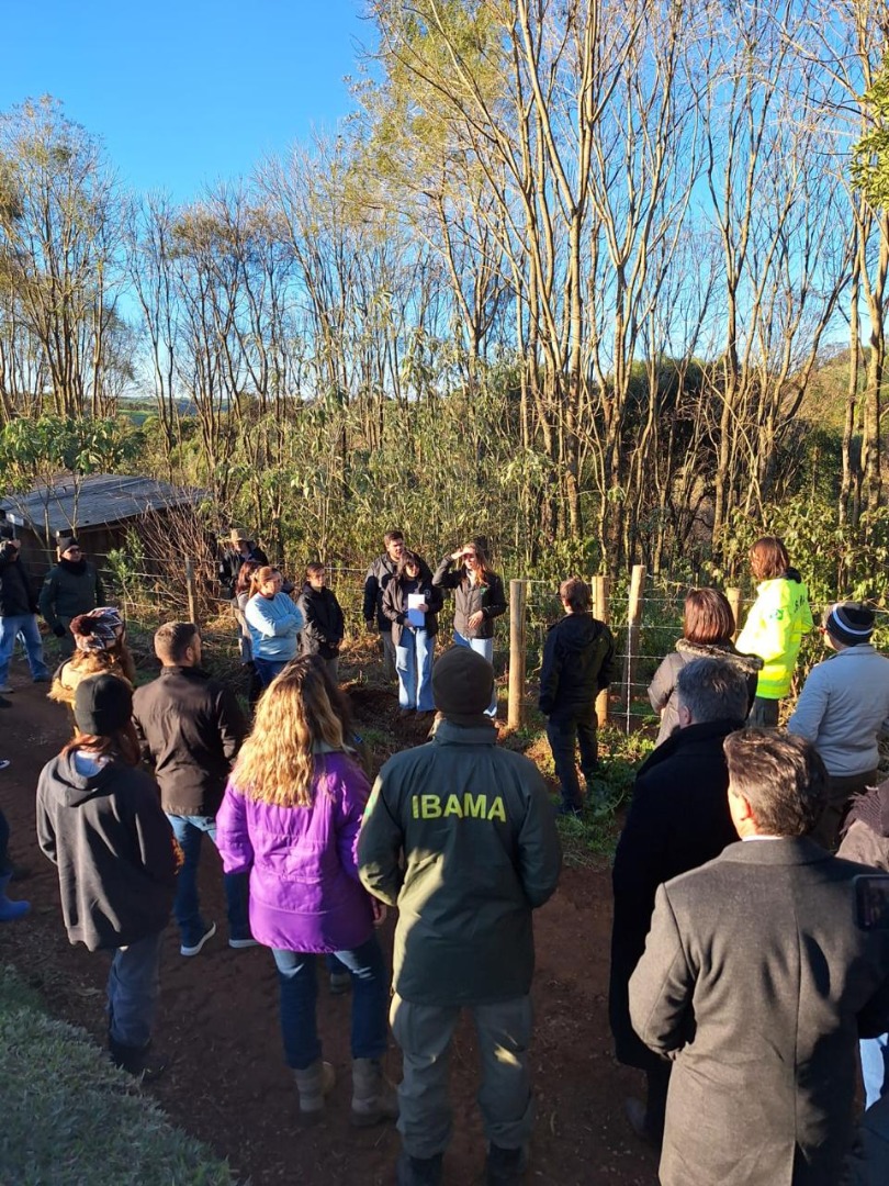 2025-06-30 Área de Mata Atlântica em SC é recuperada com projetos viabilizados por meio de conversão de multas.jpg