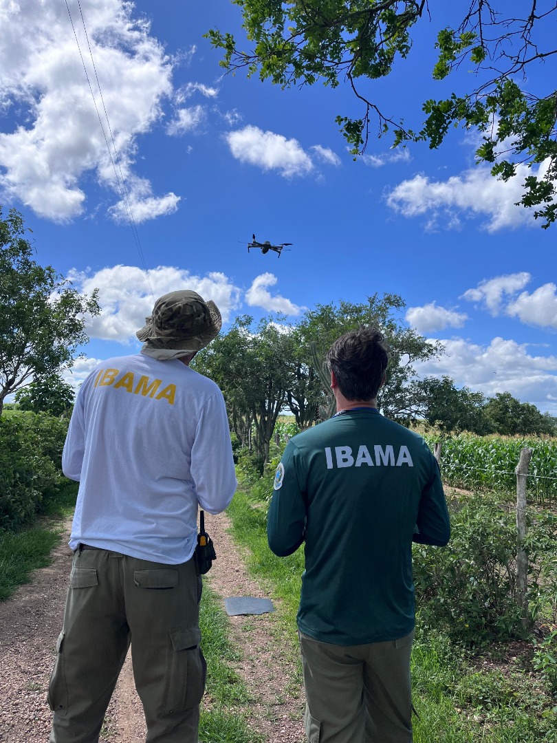 2025-07-08 Agentes no aprimoramento de uso de drones na recuperação ambiental.jpg