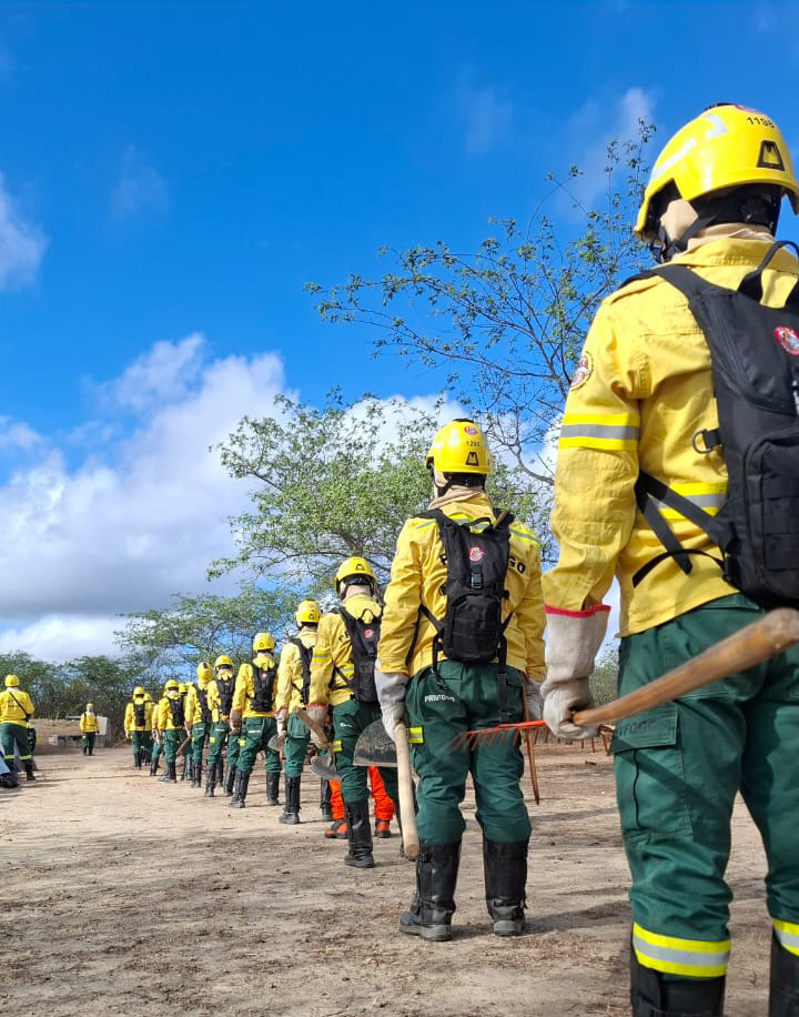 2025-08-29 Brigadista do Ceará, se preparam os desafios da temporada de combate aos incêndios.jpeg