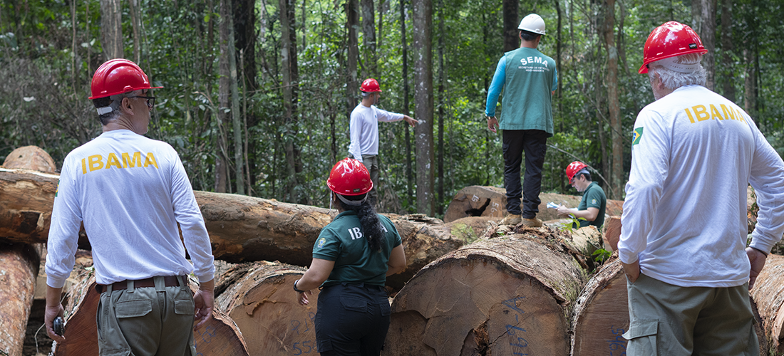 2025-11-18 Equipe do Ibama e da Sema-AP durante vistoria em Plano de Manejo Florestal Sustentável no Amapá.png