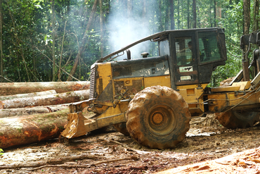2025-11-18 Máquina em operação no plano de manejo.png