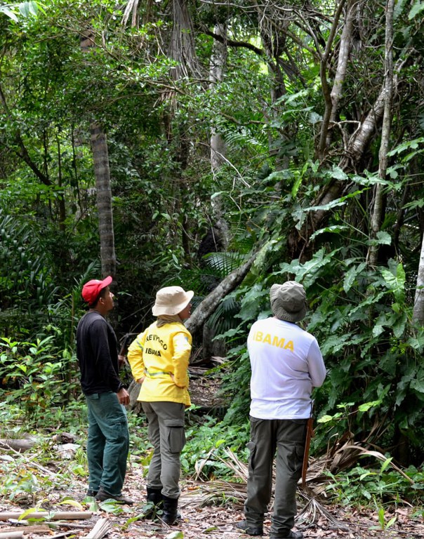 Recuperação ambiental em Terras Indígenas no Maranhão