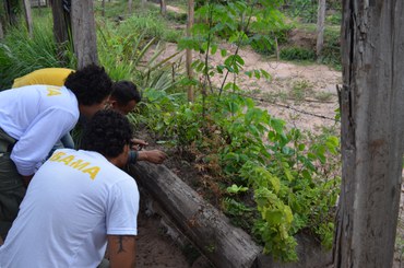 2025-02-03_Vistoria_aerea_percorre_areas_em_recuperacao_ambiental_em_Terras_Indigenas_no_MA-2