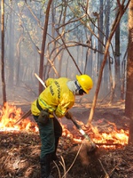 Ibama autoriza contratação de brigadas federais para reforçar combate a incêndios florestais no país