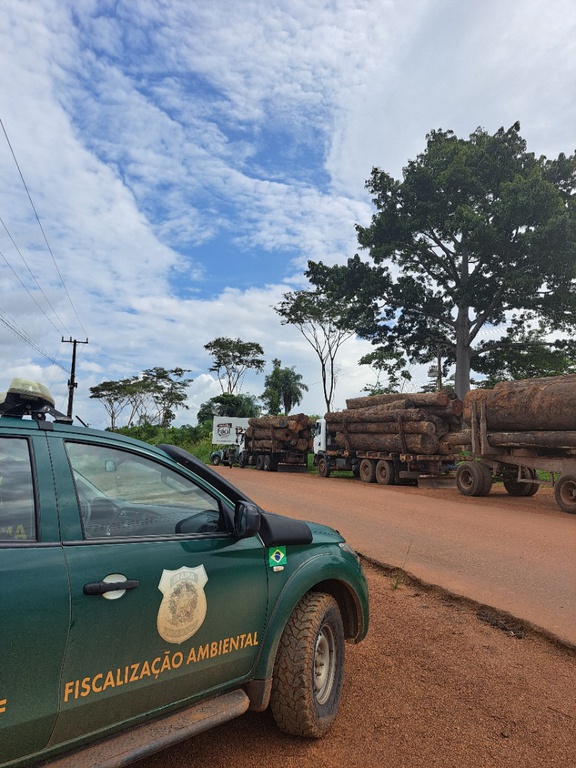 2026-03-02 Agentes mobilizaram mais de 10 caminhões bitrem para transporte de madeira ilegal apreendida no Pará.jpg