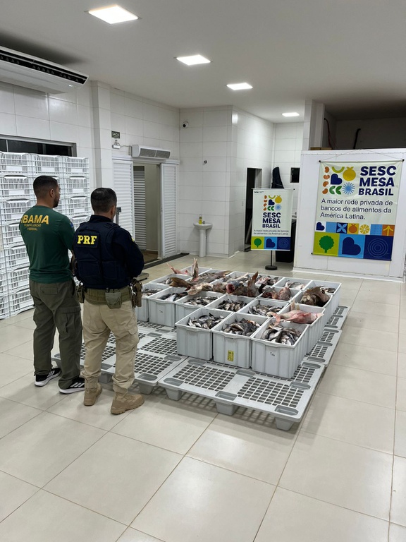 2026_03_30_pescado_Acre
